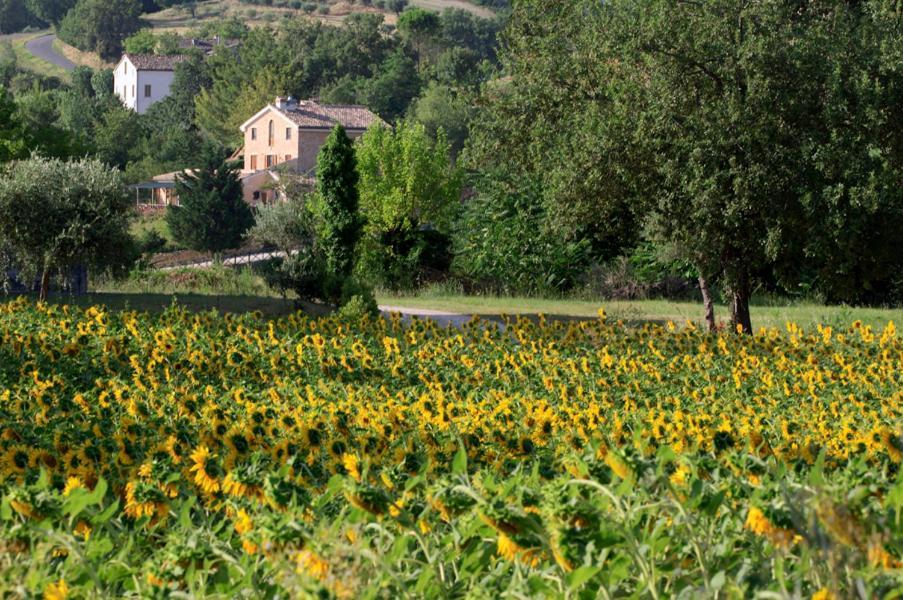 Agriturismo Agra Mater Villa Colmurano Buitenkant foto